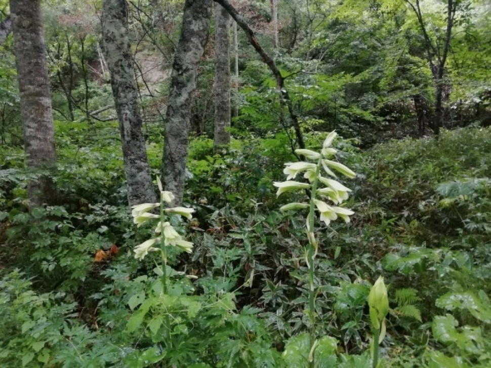 c0212083_18234912.jpg