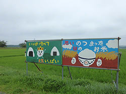 7月18日の田んぼ(緑ヶ丘小・北郷小) _d0247484_9595786.jpg