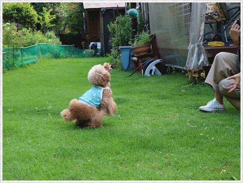 b0175688_20364156.gif
