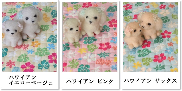 お花エリカラ ★ご注文はこちらをご覧ください★_a0239293_21562827.jpg