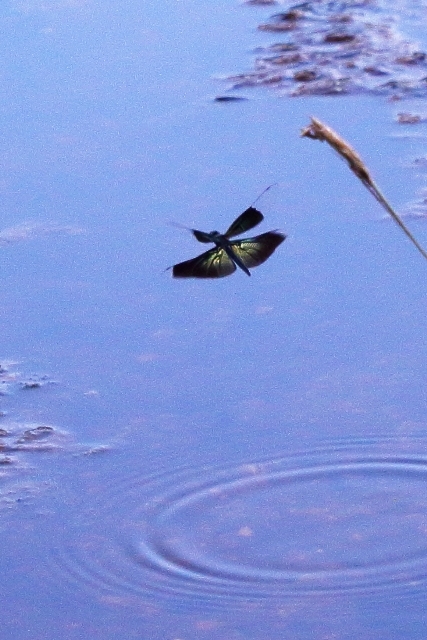 b0236595_13175220.jpg