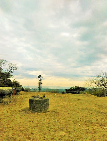 キュウリは ういヤツ_e0077899_14534879.jpg