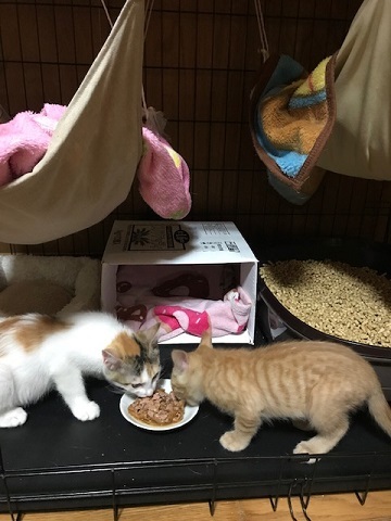 疲れを知らない。。_f0242002_16152549.jpg