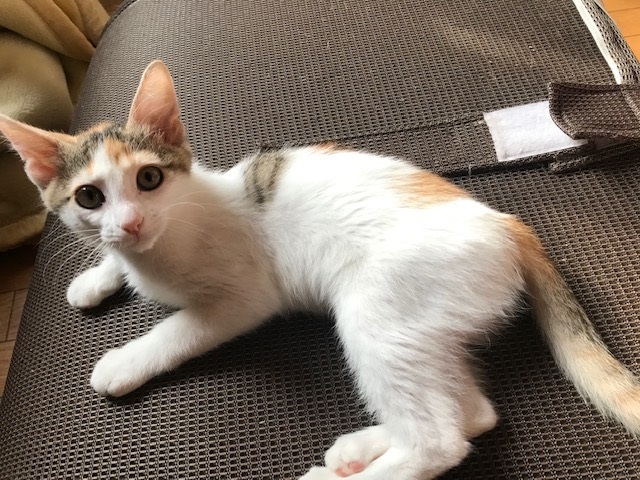 疲れを知らない。。_f0242002_16170860.jpg