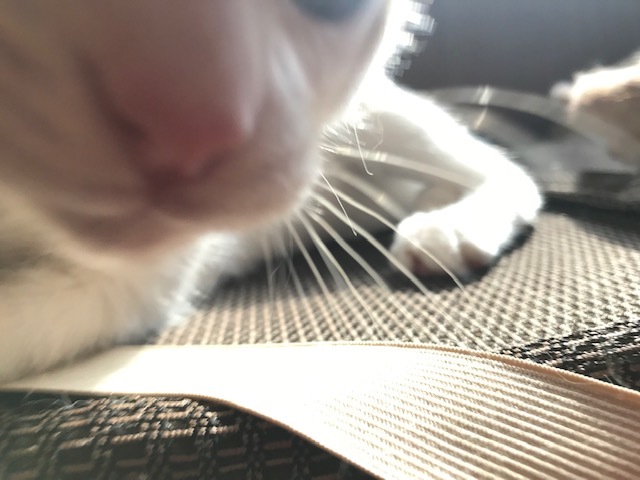 疲れを知らない。。_f0242002_16190607.jpg