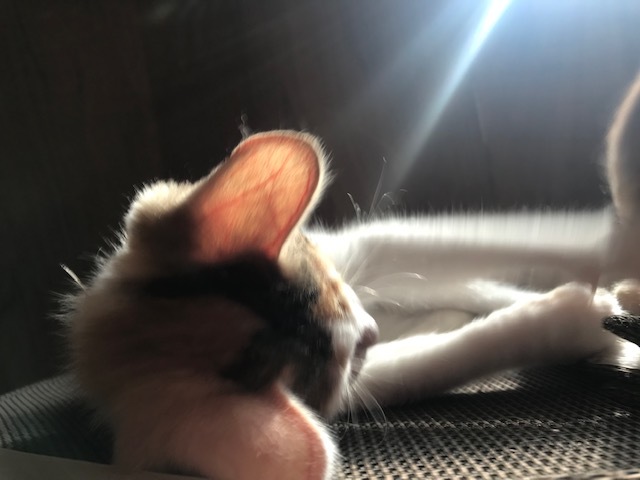 疲れを知らない。。_f0242002_16191886.jpg