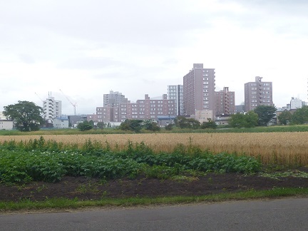 b0198109_08172251.jpg