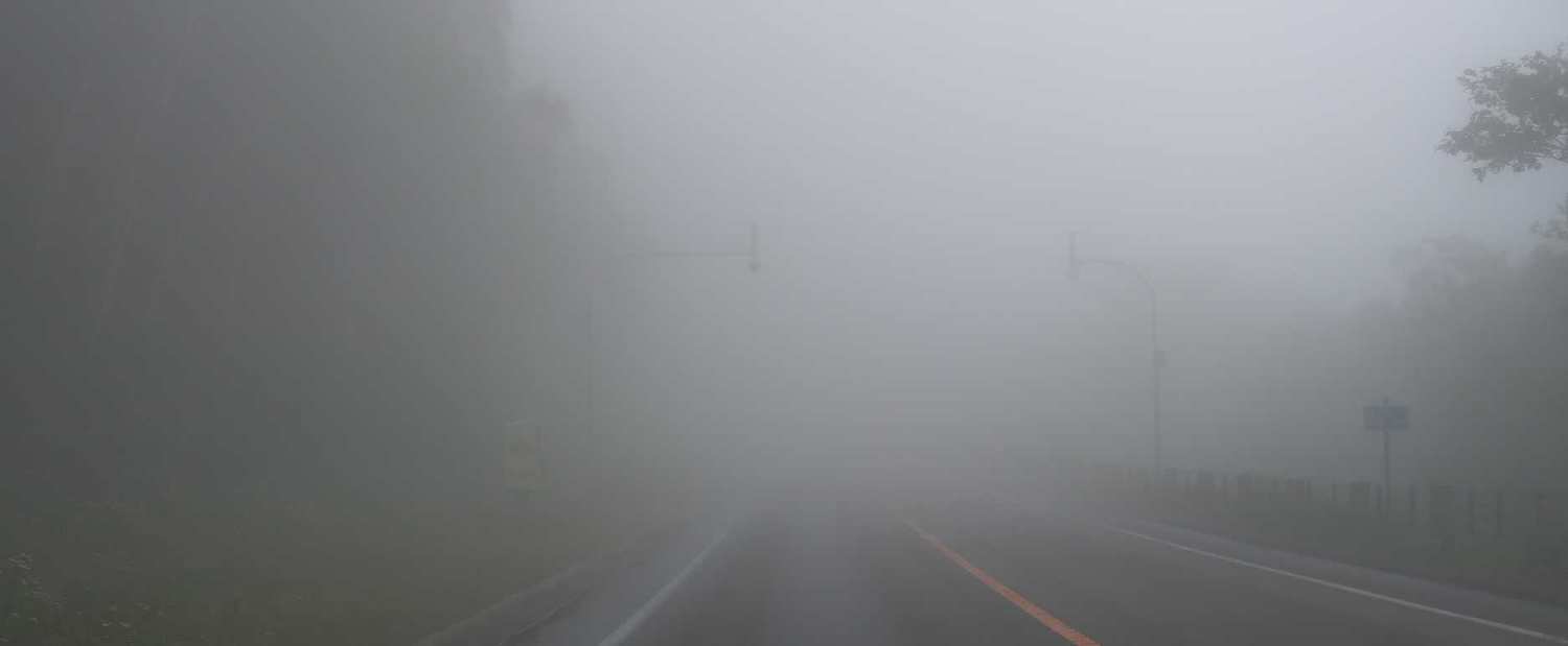 e0003910_1750327.jpg