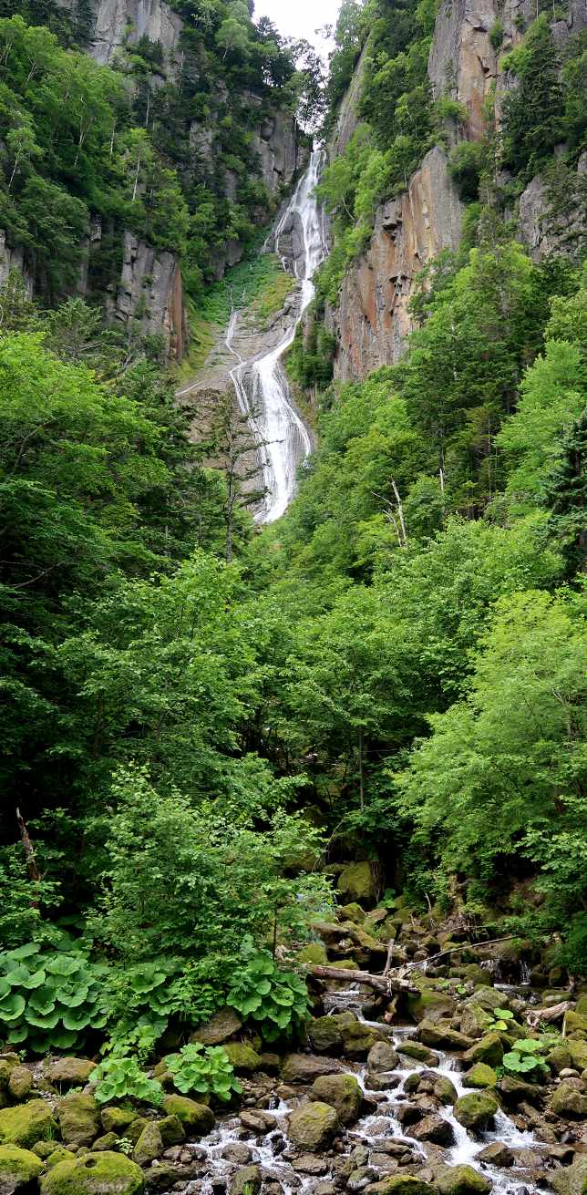 e0003910_92653.jpg