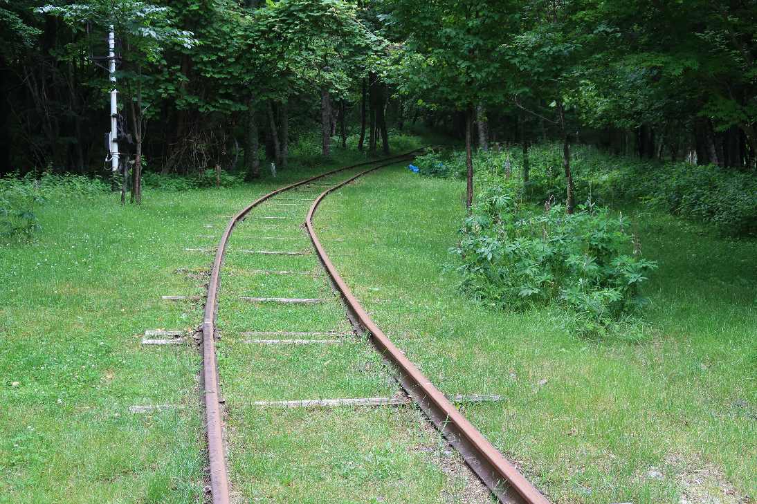 e0003910_9425996.jpg