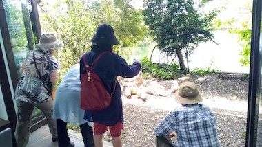 a0019212_11172172.jpeg