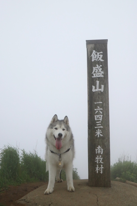 b0207615_10404651.jpg