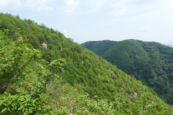 我が家近くの山　芥見権現山 (316.5M)   下山 編_d0170615_09550935.jpg