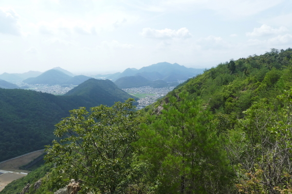 我が家近くの山　芥見権現山 (316.5M)   下山 編_d0170615_09551675.jpg