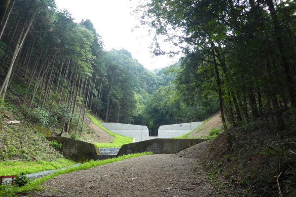 我が家近くの山　芥見権現山 (316.5M)   下山 編_d0170615_09552969.jpg