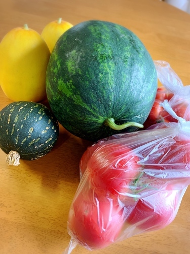 夏野菜★_a0253729_15343527.jpg