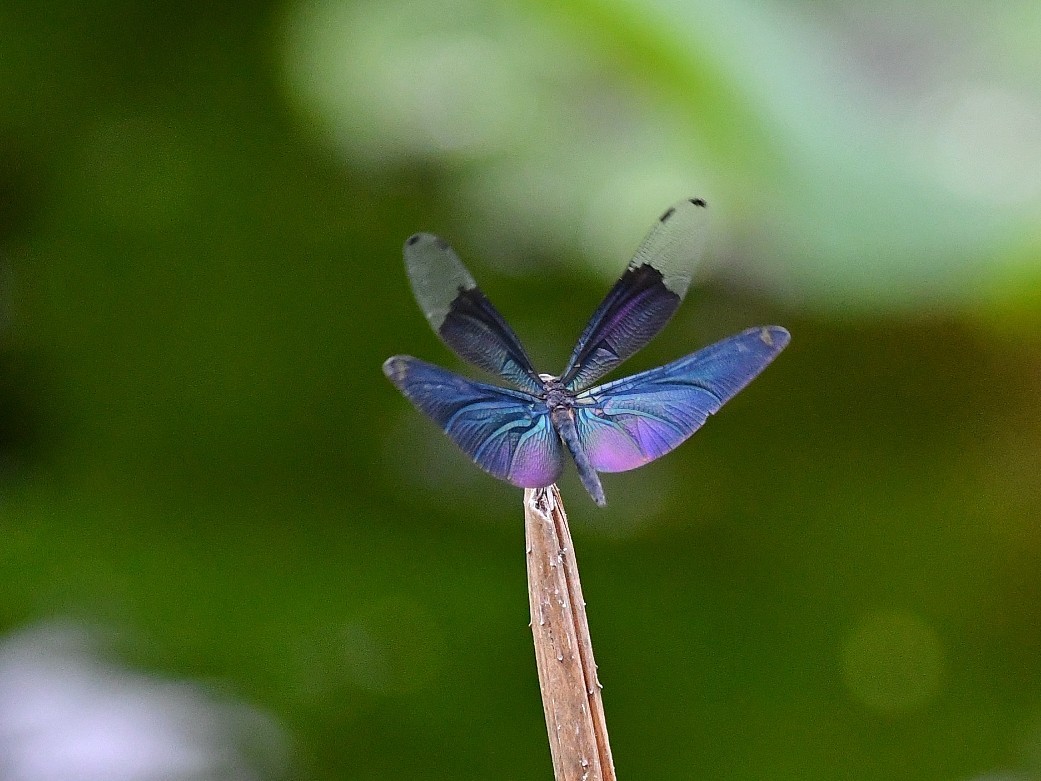 f0340732_21422874.jpg
