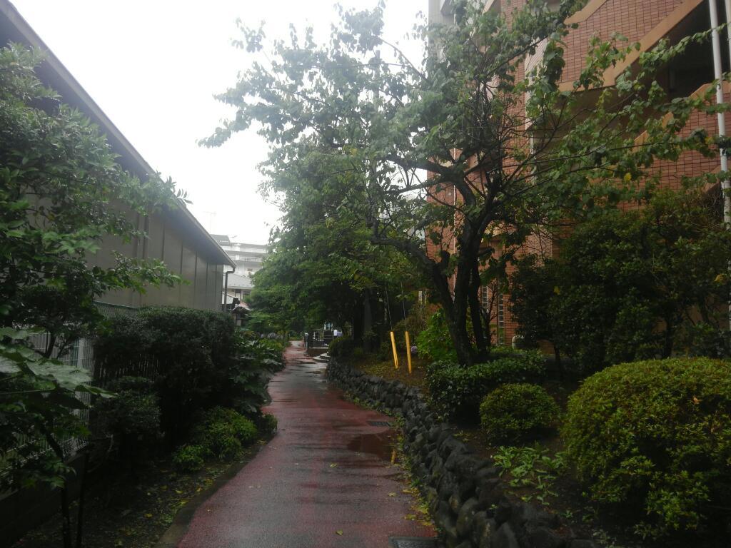 トップ画像