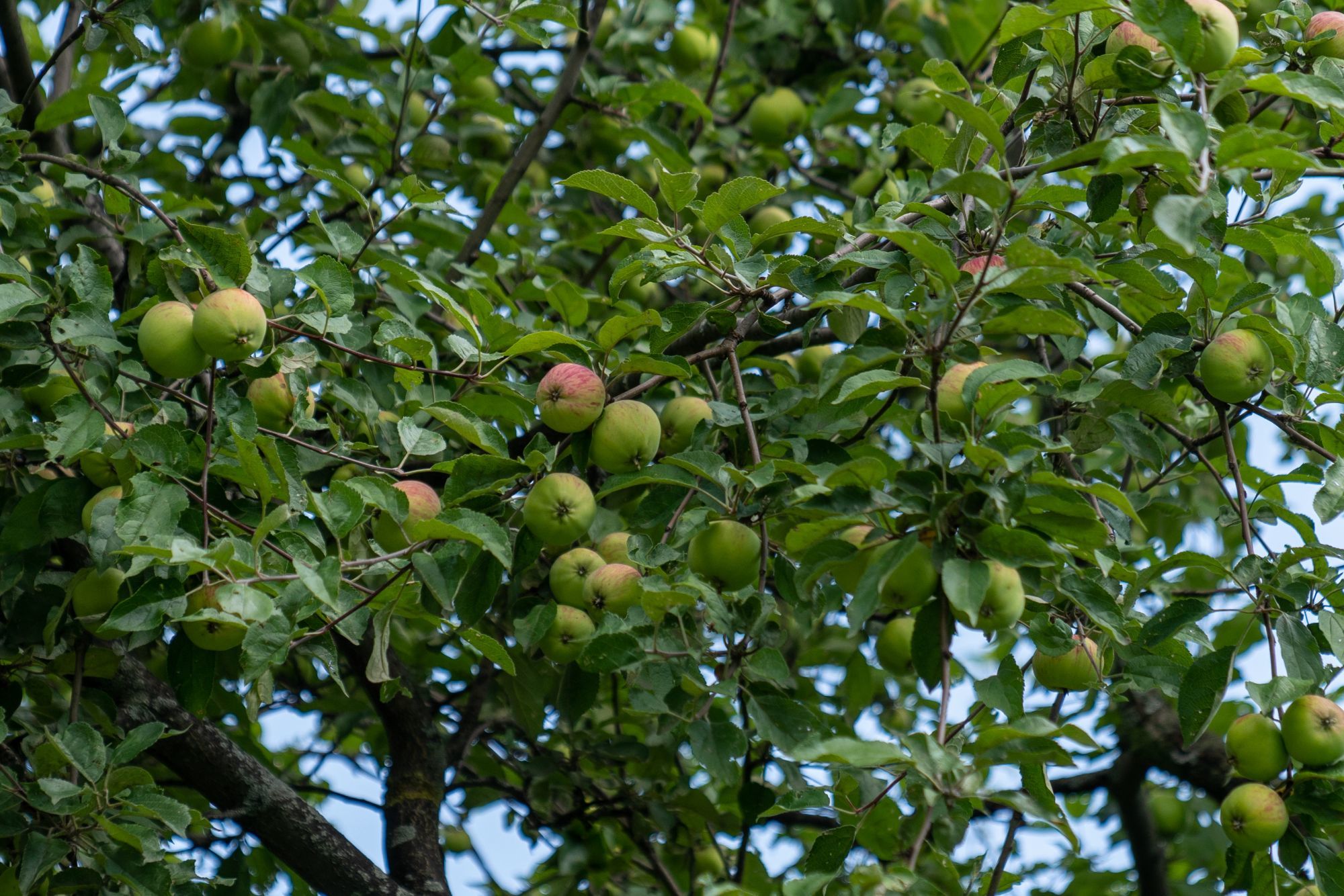 b0212342_19134711.jpg