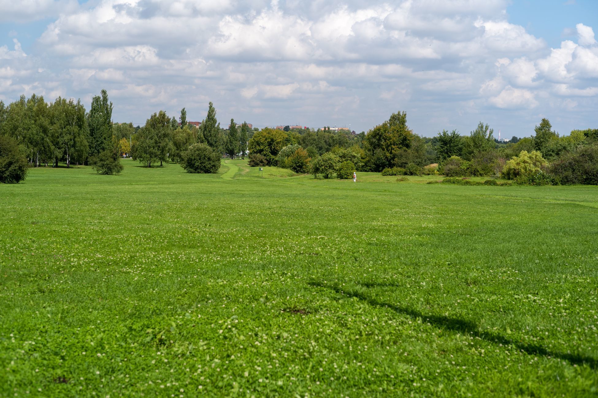 b0212342_19422324.jpg