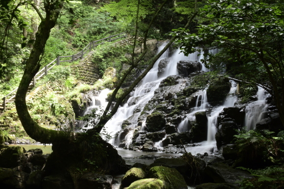 c0093046_16174977.jpg