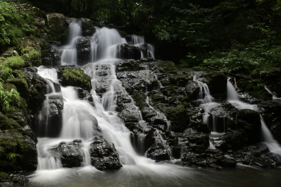 c0093046_16184670.jpg