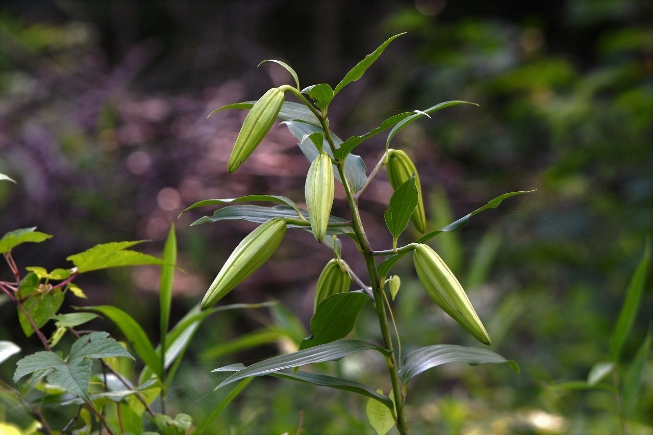 c0233349_18321577.jpg