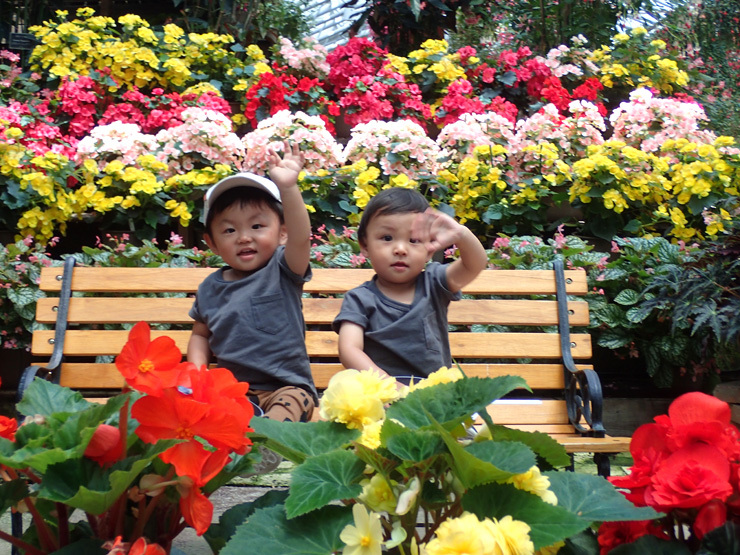 f0214649_05371850.jpg
