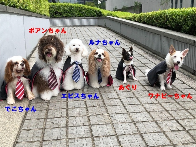 d0155952_16501016.jpeg