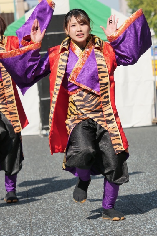 a0009554_22451491.jpg