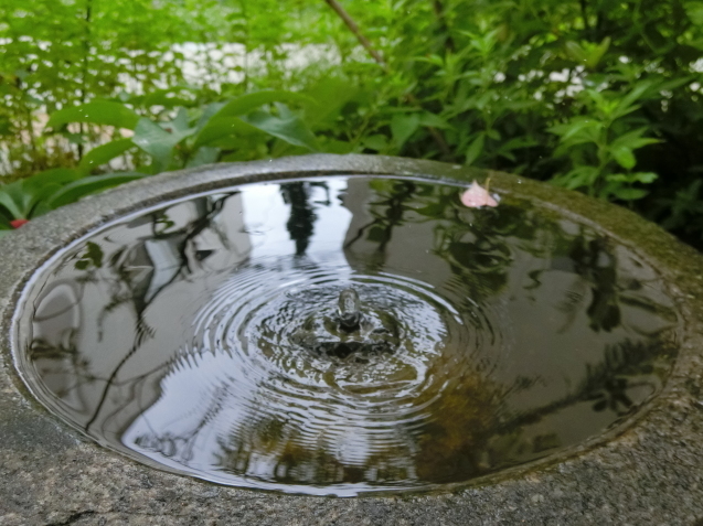 雨！雨！雨！_c0133361_10514944.jpg