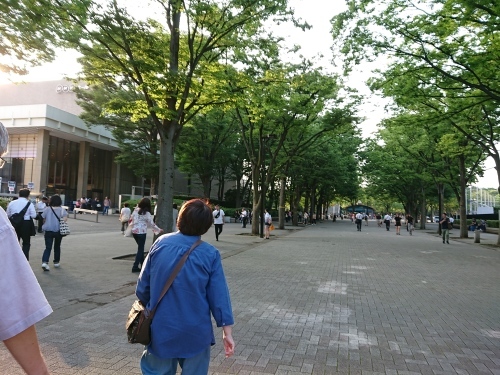c0100865_12060420.jpg