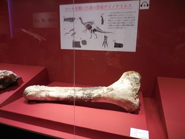 『恐竜博2019』_e0033570_11195858.jpg