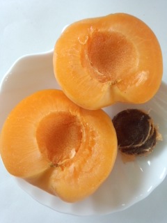 あんず(信州大実)_f0112873_21243922.jpg