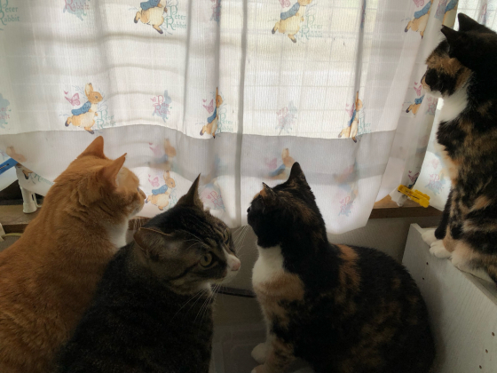 振り返ってみました②_e0355177_19055126.jpg