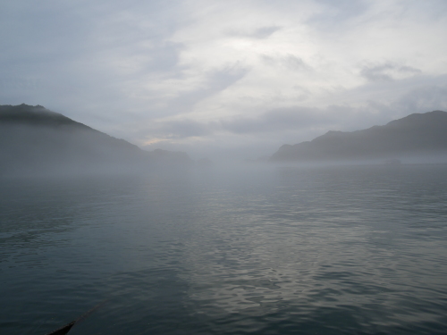 f0054677_06033350.jpg
