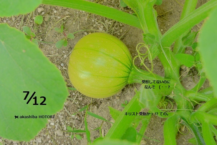 f0150377_18554397.jpg