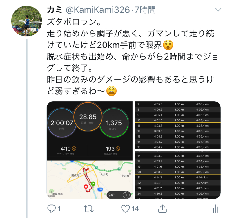 ズタボロロング走_f0310282_18093546.jpeg
