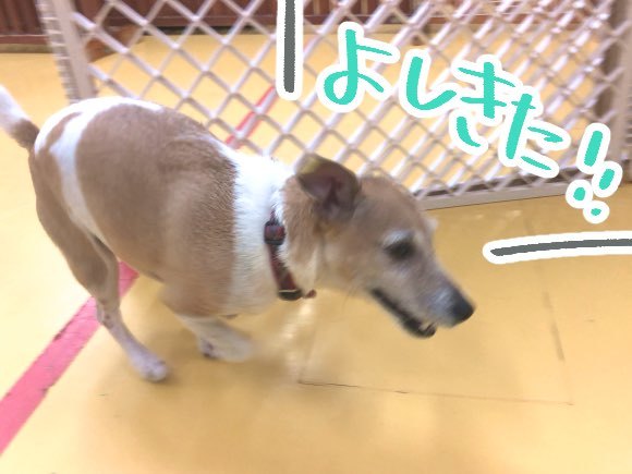 トレーニングブログ_f0357682_00104577.jpeg