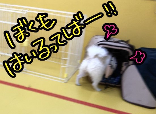 トレーニングブログ_f0357682_00110809.jpeg