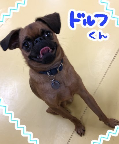 トレーニングブログ_f0357682_00112118.jpeg