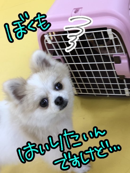 トレーニングブログ_f0357682_00114010.jpeg
