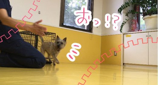 トレーニングブログ_f0357682_00121317.jpeg