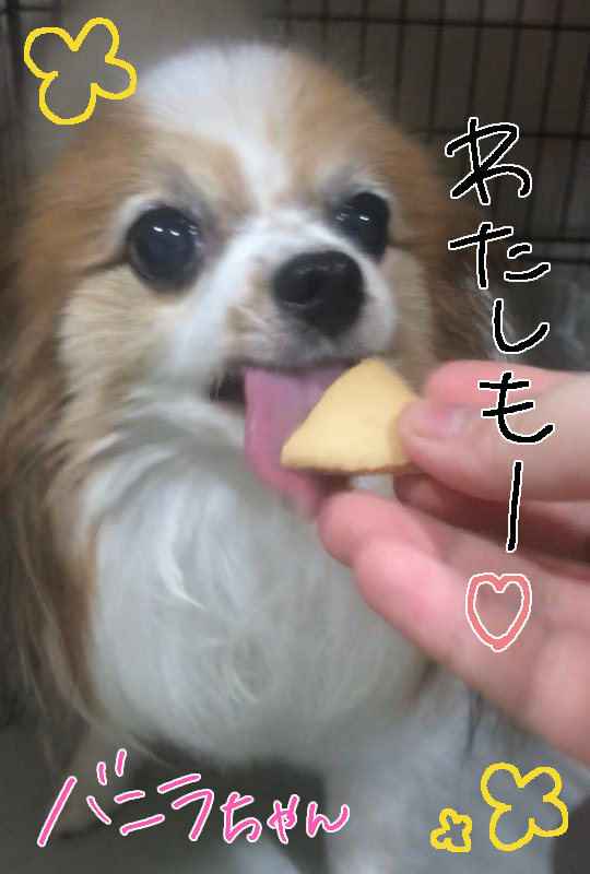 さんじのおやつ🍰_f0357682_15243702.jpg