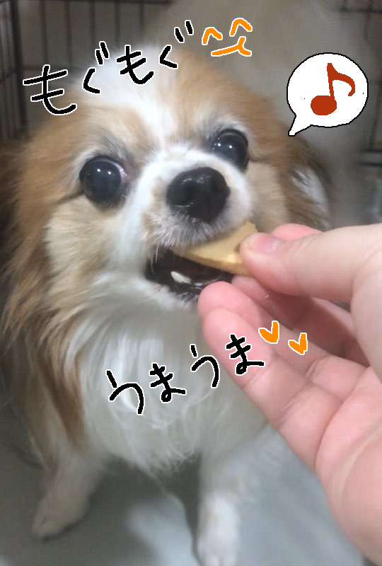 さんじのおやつ🍰_f0357682_15243742.jpg