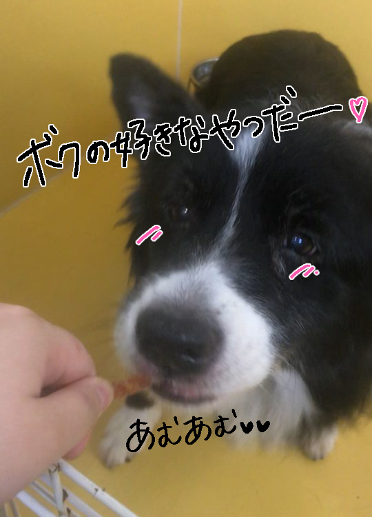 さんじのおやつ🍰_f0357682_15264710.jpg