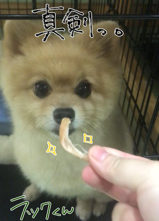 さんじのおやつ🍰_f0357682_15511272.jpg