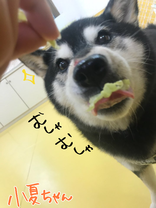 さんじのおやつ🍰_f0357682_15512348.jpg