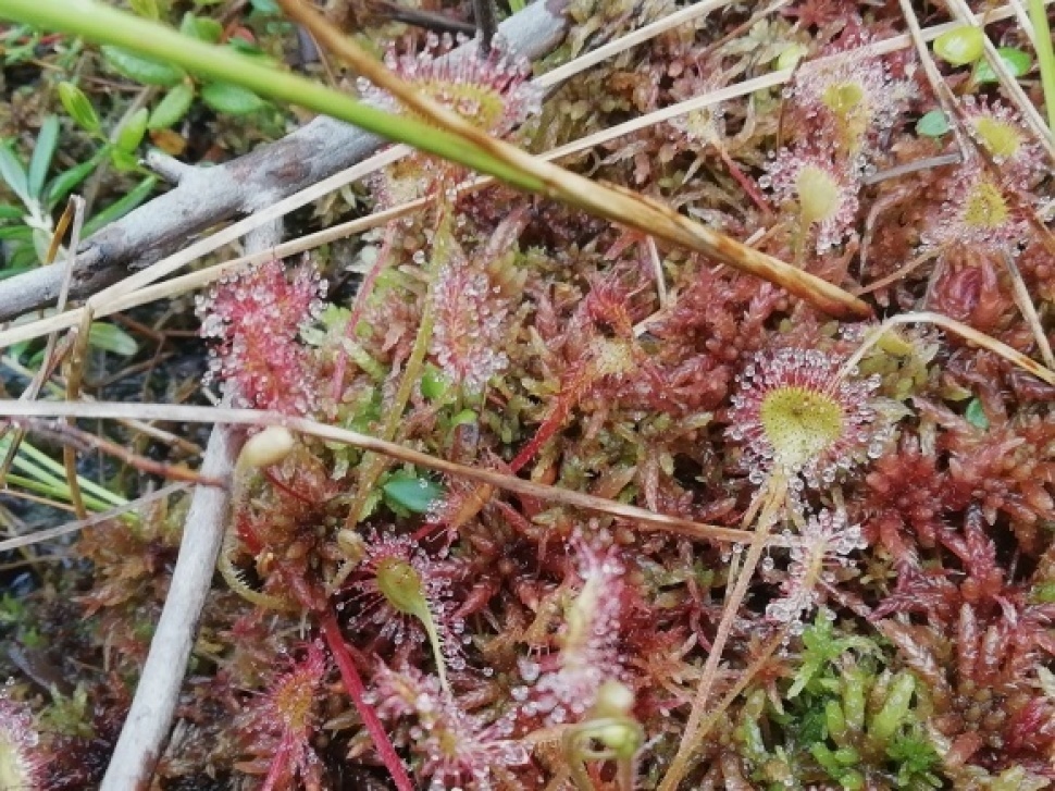c0212083_19340981.jpg