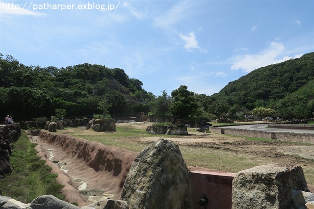 ２０１９年７月　白浜パンダ見隊　その９_a0052986_23441435.jpg